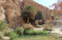From Tozeur Visits Mountain Oases and Ong Jmal 