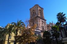Private Tour Historic Center and Albaicín in Granada