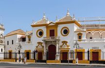 Private Tour Historic Center of Seville