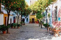 Private Tour Historic Center of Seville