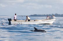 Mnemba Island Snorkeling and Swimming with Dolphins