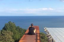 Full-Day Enoura Observatory and Hakone Hot Spring Private Tour