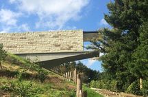 Full-Day Enoura Observatory and Hakone Hot Spring Private Tour