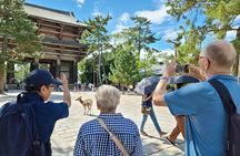 Nara World Heritage PRIVATE TOUR