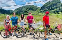 Private/Small Group - Ninh Binh: Hoa Lu, Trang An & Mua Cave