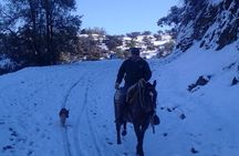 Horseback Riding in Santiago with Andes Views and Hotel Pickup