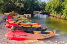 Bio Bay Night Kayak Tour in Fajardo