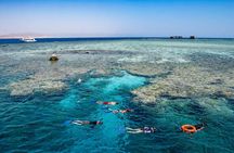 Tiran Island Snorkeling Trip W/Lunch & Transfer – Sharm El Sheikh