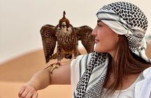 Dubai: Red Dunes, Sandsurf, Camel Ride, BBQ Dinner at Desert Camp