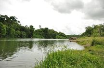 Rivers, Jungle with Buggies Adventure in Bayahibe