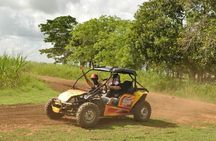 Rivers, Jungle with Buggies Adventure in Bayahibe