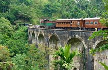 Ella Day Tour Nine Arches,Little Adam’s Peak & Elephant Orphanage