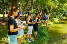 Bangkok Escape: Jungle Bike Tour in Bang Krachao