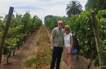 Visit to Legendary Winery in Montevideo