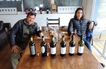Visit to Legendary Winery in Montevideo