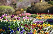 Day Trip to Nami Island with Rail bike and The Garden of Morning Calm