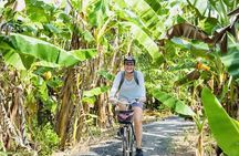 Can Tho Bike Tour in Mekong Delta