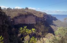 Blue Mountains and Australian Native Animals