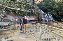 Blue Mountains and Australian Native Animals