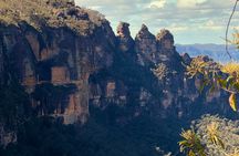Blue Mountains and Australian Native Animals