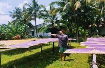 Mekong Delta Motorbike Tour with Noodle Making and Cacao Tasting
