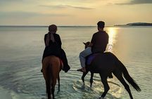 Gili Meno Horse Riding Adventure on the Beach for 1 Hour