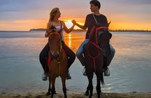 Gili Meno Horse Riding Adventure on the Beach for 1 Hour