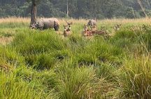 2Night 3Day Chitwan Jungle Tower Night Stay and CNP Nepal Safari