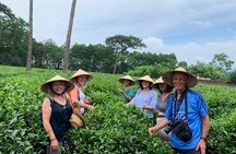 Bavi Eco Tour From Hanoi Authentic, Local Life and Non Touristy