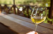 Cape Town Giraffe House Cheetah Encounter and Wine Tasting Tour