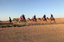 Magical dinner, sunset, music and fire show in Agafay desert