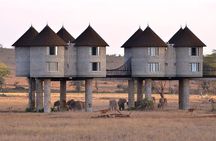 2 Days Saltlick Safari Through Tsavo East National Park