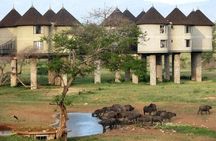 2 Days Saltlick Safari Through Tsavo East National Park