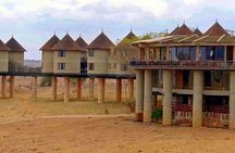 OVERNIGHT SAFARI to SALT LICK LODGE from Mombasa or Diani