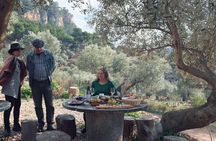 Tasting of Olive Oil in Finca de Valldemossa