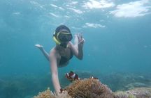 Bintan Island Snorkeling, Kayaking and Fun Fishing Activity