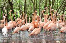 Transportation to the National AVIARY of Colombia