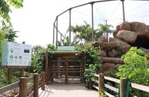 Transportation to the National AVIARY of Colombia