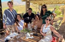 Private Wine Tour Casa Marin and Villard Wines
