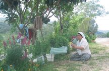 Carpet Weaving and Shopping From Villager No Middle Man