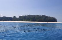 Mnemba Island Snorkeling and Dolphin tour