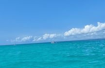 Mnemba Island Snorkeling and Dolphin tour