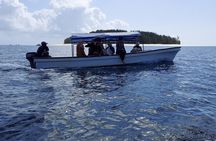 Mnemba Island Snorkeling and Dolphin tour
