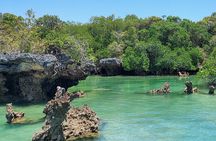 Safari Blue Zanzibar