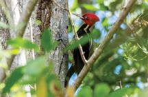 Private Tour Diria National Park Unspoken Hiking and Nature