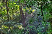 Private Tour Diria National Park Unspoken Hiking and Nature