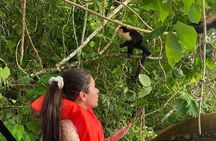 Monkey Island, Gatun Lake and the Panama Canal