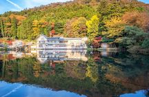 Dazaifu Nyoirinji Temple Yufuin one day tour from Fukuoka 