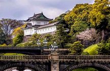 Tokyo Private Guided Tour with Hotel Pickup and Drop off