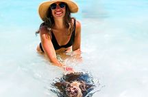 Nassau: Swimming Pigs & Island Escape with Bahamian Lunch